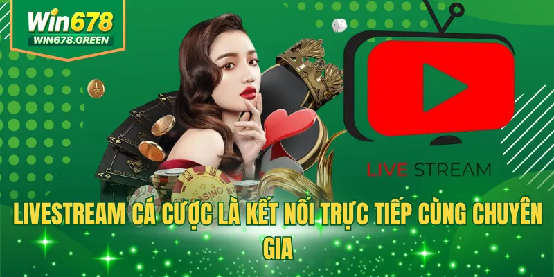 Livestream cá cược là kết nối trực tiếp cùng chuyên gia